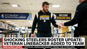 Shocking Steelers roster Update: Steelers Add Veteran Lineba